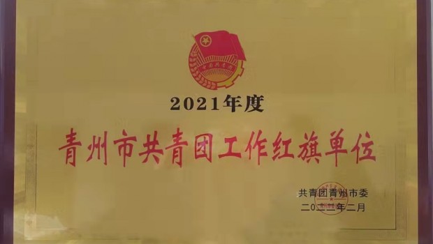 集團(tuán)團(tuán)委被授予2021年度”青州市共青團(tuán)工作紅旗單位“榮譽(yù)稱號