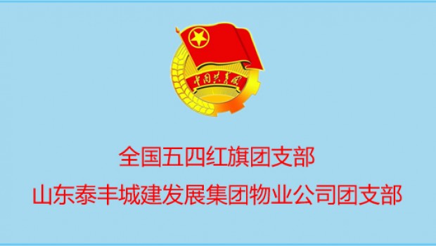 泰豐物業(yè)公司團(tuán)支部喜獲 國 家 級 表彰！