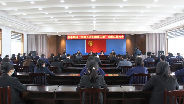 集團(tuán)召開“全國五四紅旗團(tuán)支部”表彰總結(jié)大會(huì)
